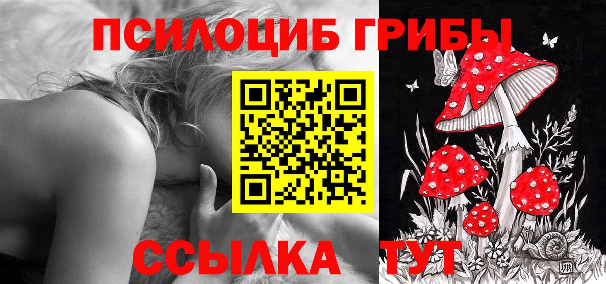 Канаш  магазин продажи   Вход с VPN  Псилоцибиновые грибы GOLDEN TEACHER 