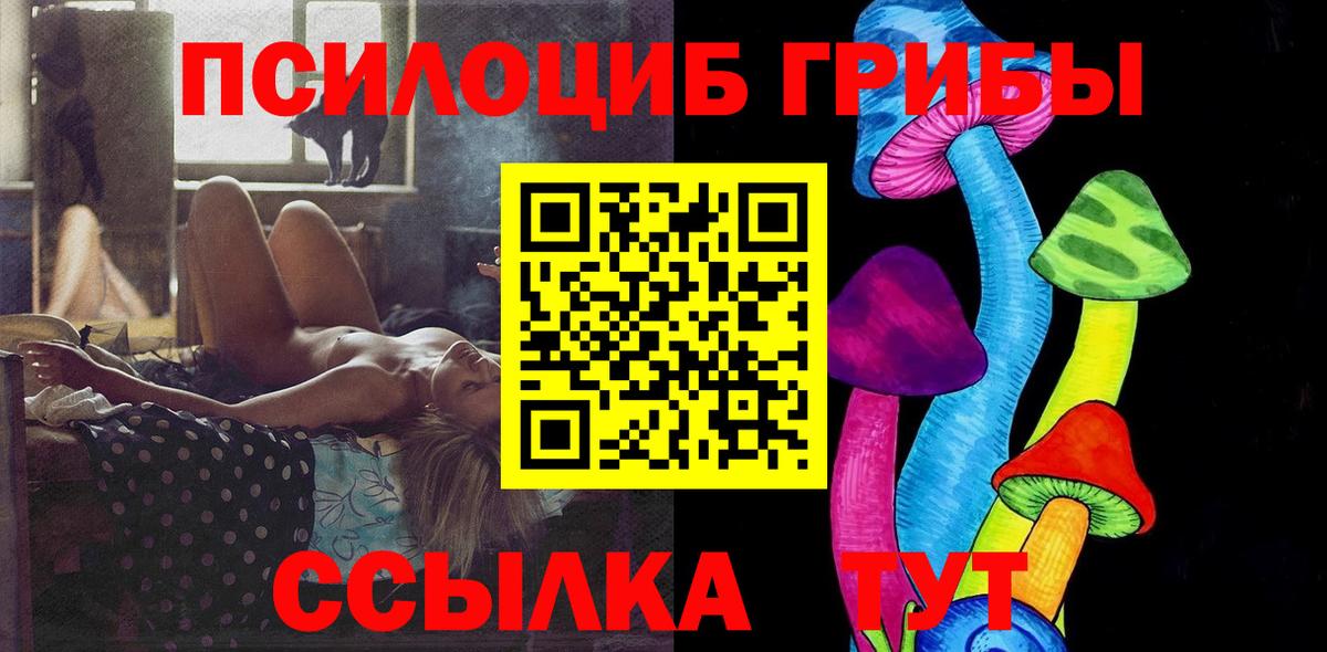 Галлюциногенные грибы Psilocybe Канаш