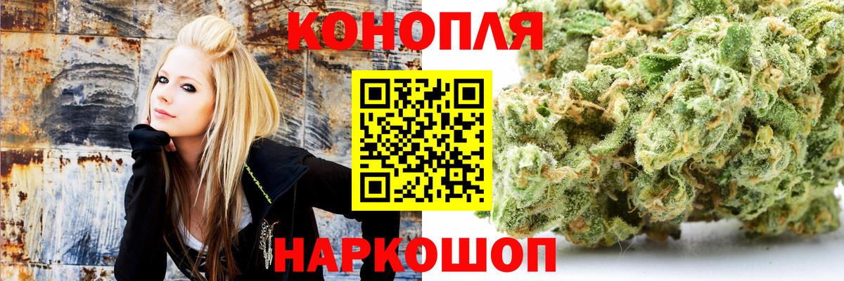 Каннабис Bruce Banner  Бошки марихуана VHQ  Вход с VPN  Канабис гибрид  Канаш 